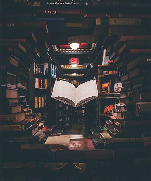 Large Blog